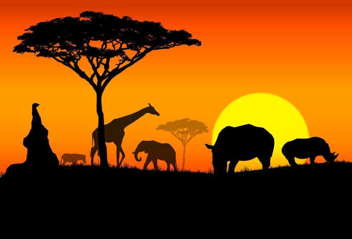 Africa travel guide: Everything you need to know about visiting Africa